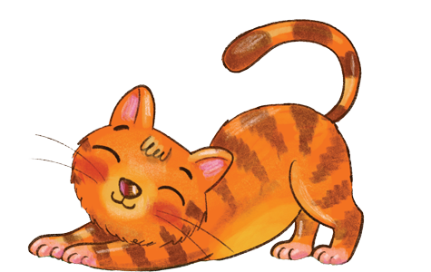 cat